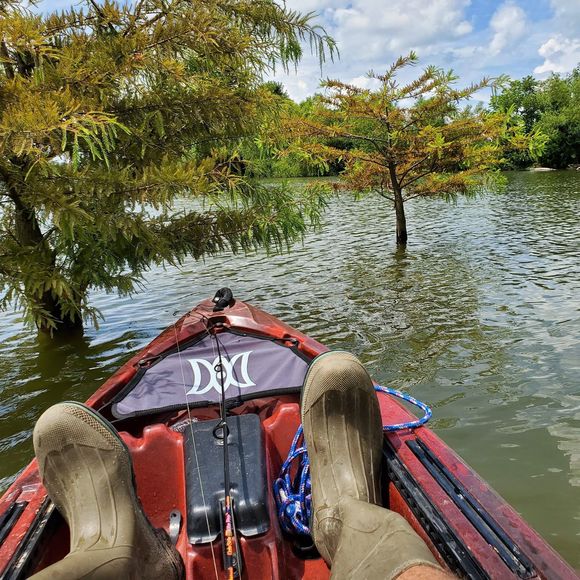 Meet your Posher, Casey - Picture 1 of 1